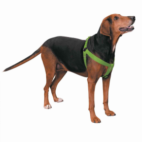 CC Nylon 2 Step Harness 15-25In Grn (Color: Light Green, size: 15-25in)