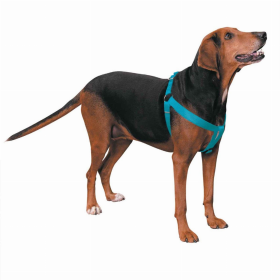 CC Nylon 2 Step Harness 15-25In Blu (Color: Turqouise, size: 15-25in)