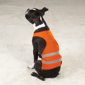 GG Safety Vest (Color: Orange, size: large)