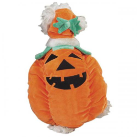 Zack & Zoey Pumpkin Pooch Costume (Color: Orange, size: large)