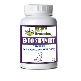 Endo Support Capsules For Dogs And Cats* Endocannabinoid System Support For Dogs & Cats* (size: 90 Capsules DOG / 500 mg.)