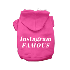 IG Famous Hoodie (Color: Pink, size: X Small)