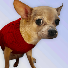 Knit Turtleneck Dog Sweater (Color: Wine Red, size: small)