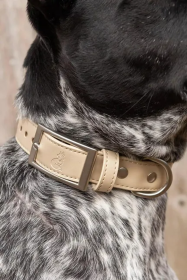 Champagne Fizz Vegan Leather Dog Collar (size: 11 - 13 inch)