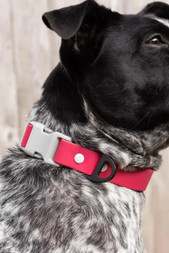 Red Mountain Syrah Waterproof Dog Collar (size: 11 - 13 inch)